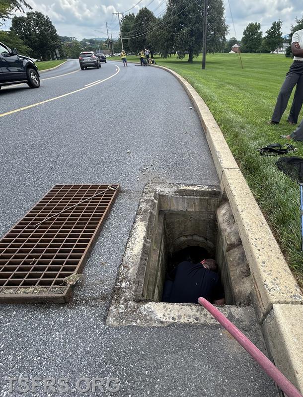 Duckling Rescue - Township of Spring Fire Rescue Services
